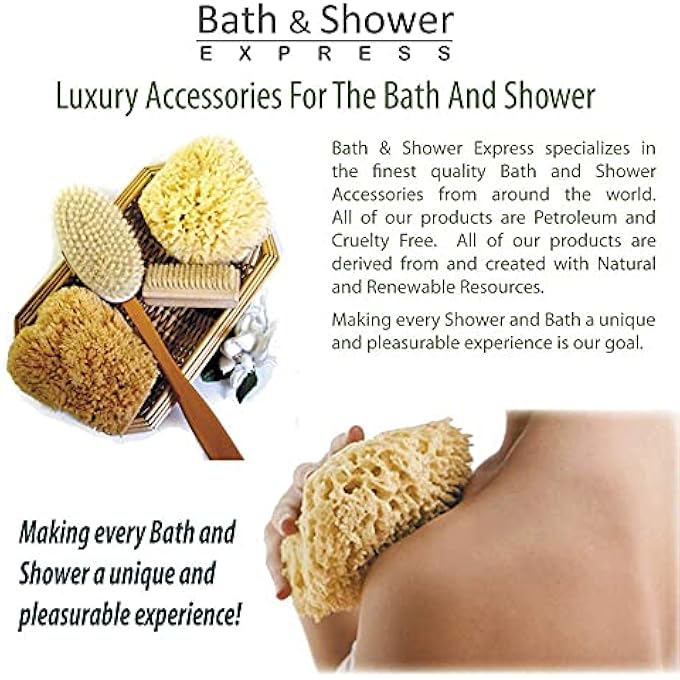 Bath & Shower Express Sea Wool Sponge 5-6 (Large) by Ãƒâ€š Natural Renewable Resource! - Image 3